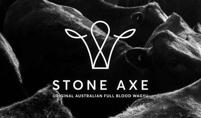 Stone Axe cows
